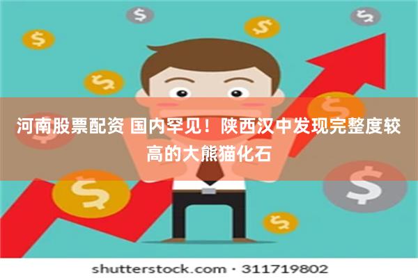 河南股票配资 国内罕见！陕西汉中发现完整度较高的大熊猫化石