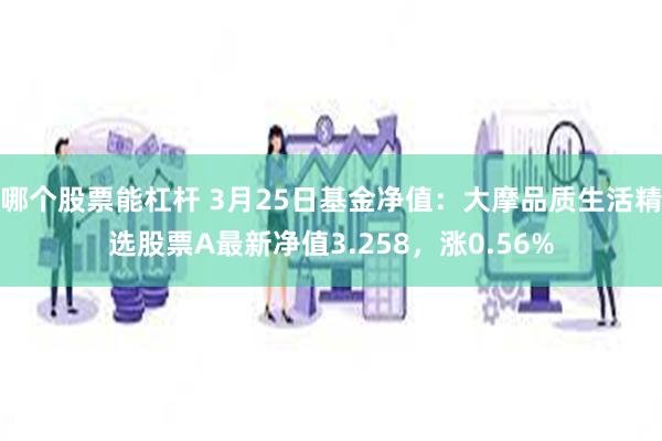 哪个股票能杠杆 3月25日基金净值：大摩品质生活精选股票A最新净值3.258，涨0.56%