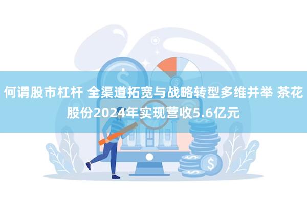 何谓股市杠杆 全渠道拓宽与战略转型多维并举 茶花股份2024年实现营收5.6亿元