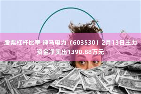 股票杠杆比率 神马电力（603530）2月13日主力资金净卖出1390.88万元