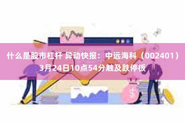 什么是股市杠杆 异动快报：中远海科（002401）3月24日10点54分触及跌停板