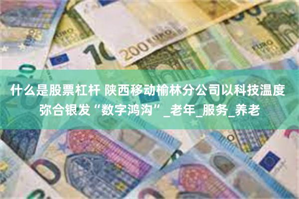 什么是股票杠杆 陕西移动榆林分公司以科技温度 弥合银发“数字鸿沟”_老年_服务_养老